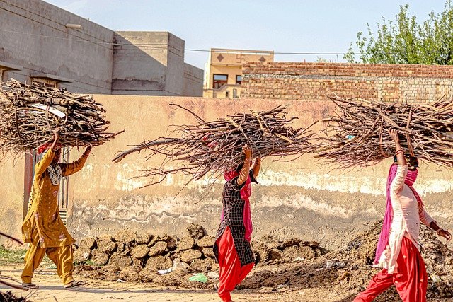 Polttopuu: Vinkkejä hankintaan ja käyttöön