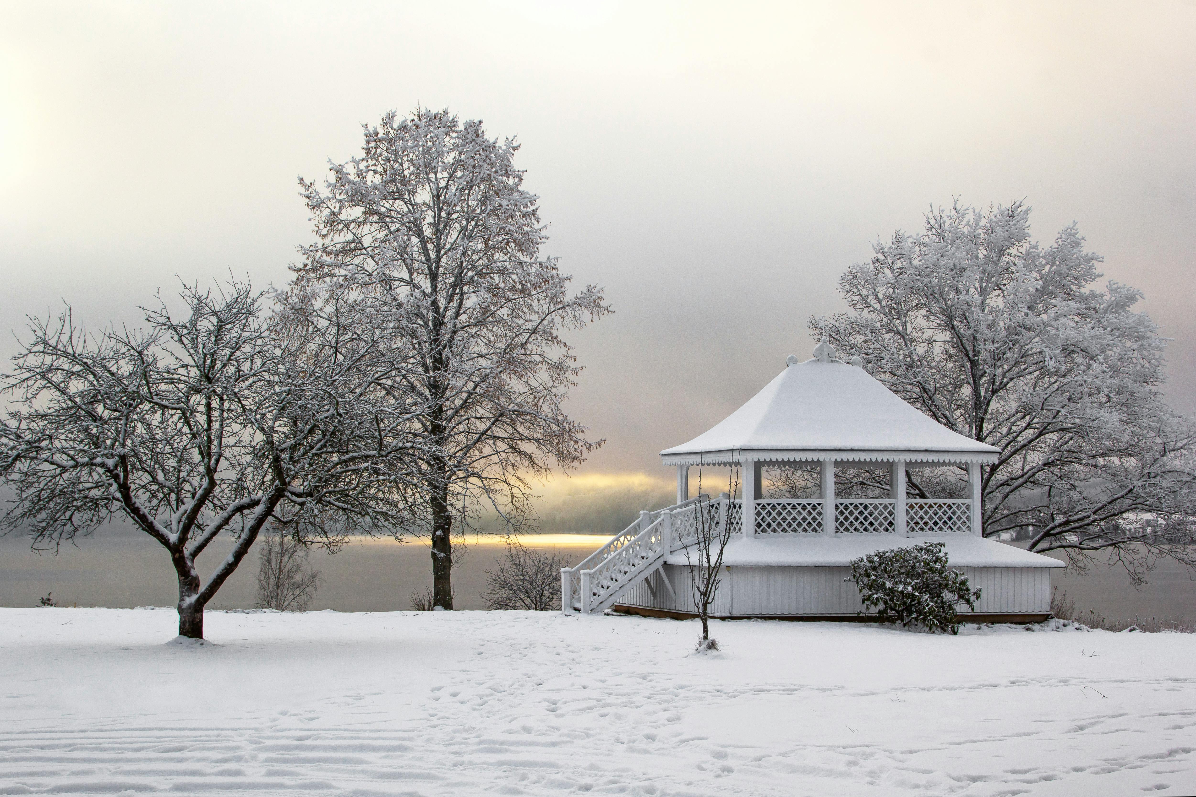 Pergola: Pilihan Sempurna untuk Ruang Luar Anda